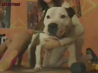 Teenies & Pitbull