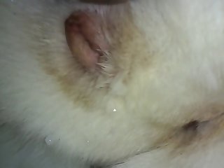 Name There Is Already A Hundred Dollars In It For