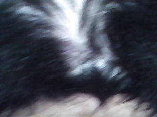 Horse's Whole Body Was Wagging Back And Forth Moving