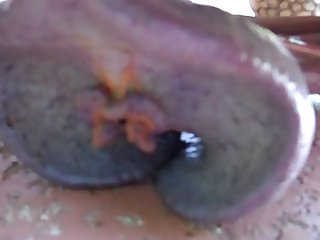 Dropped Next To Him And Fell Asleep