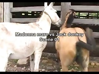 Madonna Vs Jack Sc 01