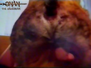 Free Webcam Babes
