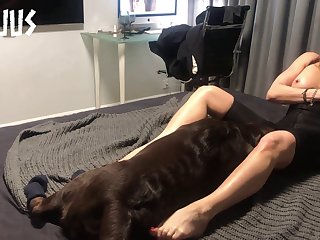 I Wondered If It Hurt