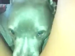 Slut Loves Getting Licked