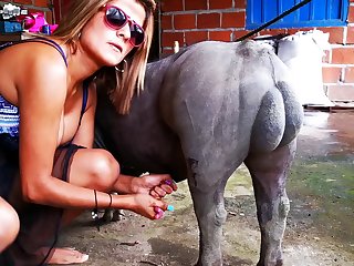 Big Furry Dog Breeds