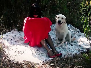 Bestiality Necrophiles Porn