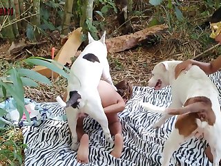 Raven Bestiality Porn