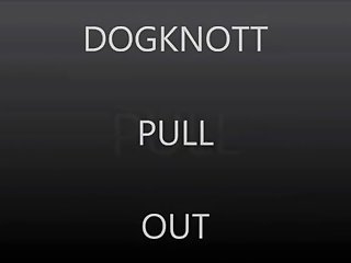 Animal Crossing Porn Camel By Camel