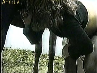 Zoofilia Portugues
