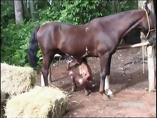 Horse Pee Porn - best pee porn videos page 1 at 8zoo.net