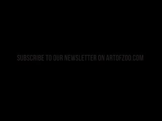 Videos Zoofilia Gratis