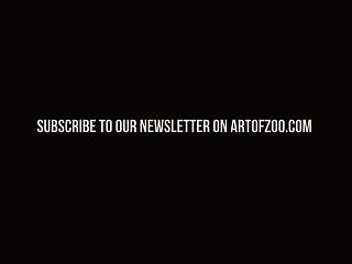 Videos Zoofilia Gratis