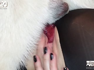 Lise Private Zoofilia
