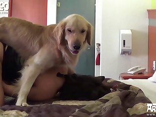 Zoofilia Sexo Con Perras