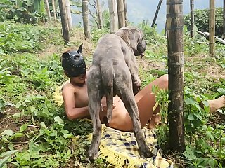 Zoofilia Mulher Sentando No Cachorro