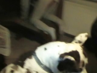 Videos De Zoofilia Veronica Silesto