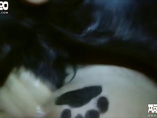 Comic Nopor Zoofilia