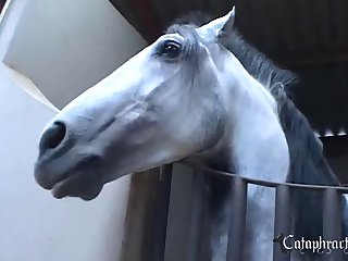 Videos De Zoofilia Caseros
