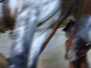 Cvideos De Zoofilia