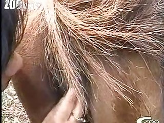 Sexo Con Un Caballo Zoofilia