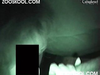 Zooskool Nessa Midnight Horse 001