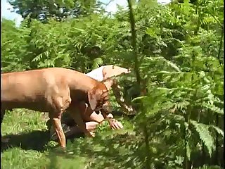 Mimigtf1 Zoofilia Xxx