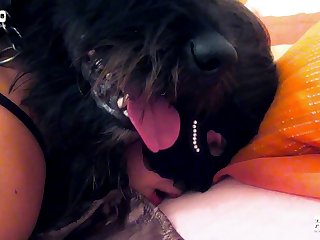 Video Porno Zoofilia