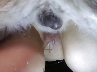 Zoofilia Sexo Con Vacas