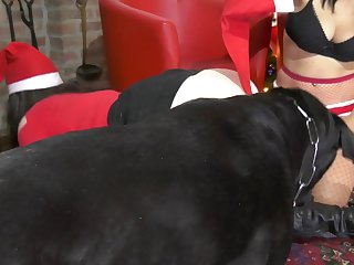 Follando Animales Zoofilia