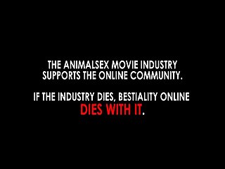 Golden Retriever Zoofilia