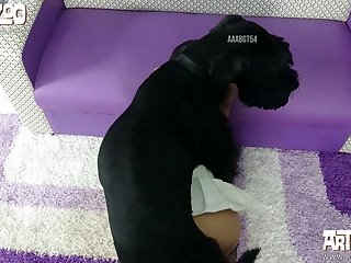 Zoofilia Cavalo E Mulher