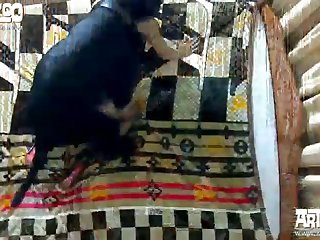 Videos Nuevos De Zoofilia