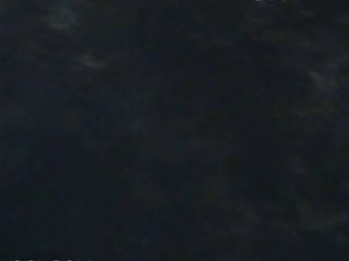 Zoofilia Sexo Porno