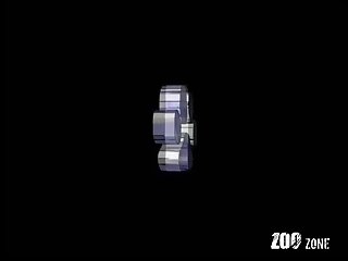 Zoofilia Miami