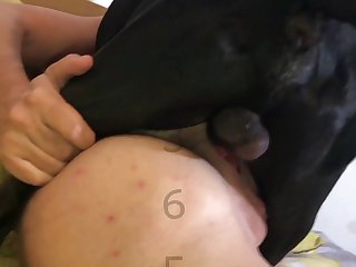 Zoofilia Videos Caballo