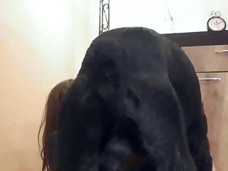 Zoofilia Chat