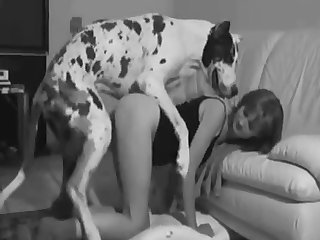 X Videos Porno Zoofilia