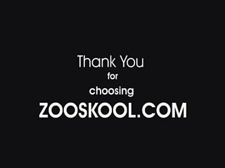 Zoofilia Gratis Caballos