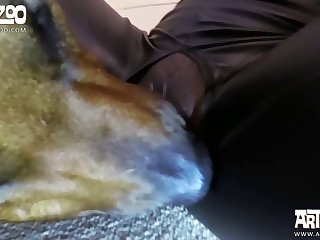 Zoofilia Mulher Dando O Cu