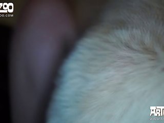 Comics Hentai De Zoofilia