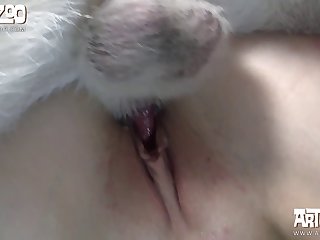 Zoofilia Con Un Perro