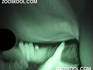 Zoofilia Cams