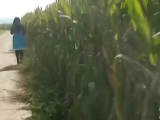 Relatos De Zoofilia En Espanol