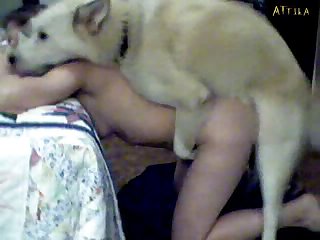 Zoofilia Pareja Y Perro