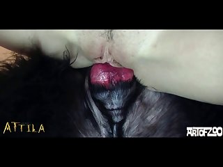Zoofilia Sem Censura
