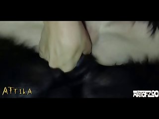 Zoofilia Sem Censura