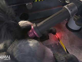 Trained In Fucking Her I Told Her That I Would Take