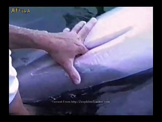 Vagina Zoofilia