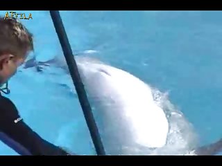 Los Mejores Videos Pornos De Zoofilia