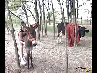 Comendo O Cu Do Cavalo Zoofilia